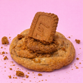 Favorite Lotus Biscoff Cookie